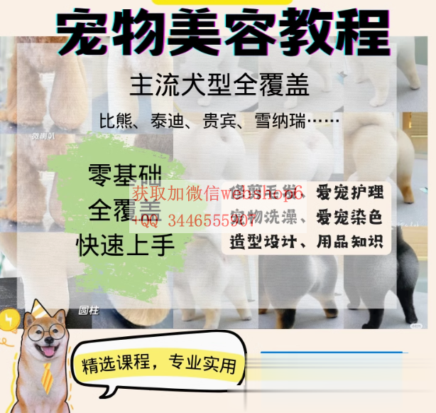 QQͼ20250220131105 (2).png